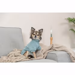 TRIXIE 680815 manteau d'extérieur pour chiens et chats S Vert Coton, Polyester Chien Pull - Vue supplémentaire 4