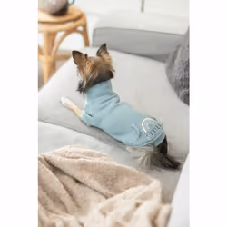 TRIXIE 680815 manteau d'extérieur pour chiens et chats S Vert Coton, Polyester Chien Pull - Vue supplémentaire 6