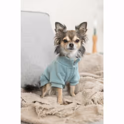 TRIXIE 680815 manteau d'extérieur pour chiens et chats S Vert Coton, Polyester Chien Pull - Vue supplémentaire 7
