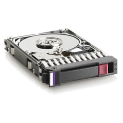 HPE 1TB 7.2K LFF 6G SATA 3.5" 1 To Série ATA III