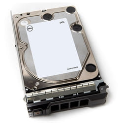 DELL 400-AEFB disque dur 3.5" 1 To Série ATA III