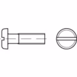 Toolcraft 104493, Vis, Acier zingué, Pan (tête de vis), Zinc, M3, Tête cylindrique