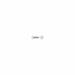 Conditionnement : 100 pc(s) Dimensions produit, longueur : 19 mm Dimensions produit, Ø : 2.9 mm Entraînement (outil) : crucif ...