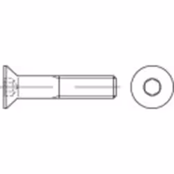 Informations techniques Entraînement (outil) : 6 pans intérieurs Forme de la tête de vis : tête fraisée Longueur : 16 mm Maté ...