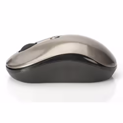 Ednet 81166 souris Ambidextre RF sans fil Optique 1600 DPI