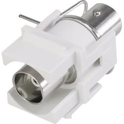 Renkforce RF-3434002 Module Keystone