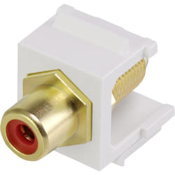 Renkforce RF-3434012 Module Keystone