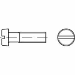 Informations techniques Entraînement (outil) : plat Forme de la tête de vis : tête cylindrique Longueur : 6 mm Matériau : Pol ...