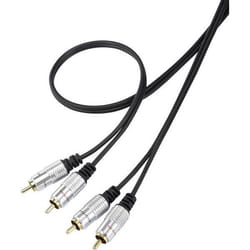 SpeaKa Professional SP-7870144 câble audio 1 m 2 x RCA Noir