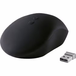 Renkforce RF-4284826 souris Ambidextre RF sans fil 1300 DPI