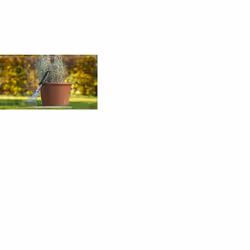 Râteau Bosch 06008B5600; 380 mm