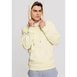 Sweatshirt à capuche Urban Classic Terry basic