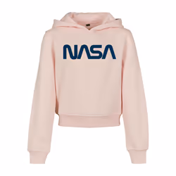 Sweatshirt à capuche enfant Mister Tee