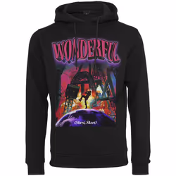 Sweatshirt à capuche Mister Tee wonderful