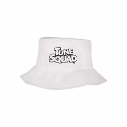 Bob Mister Tee Tune squad wording