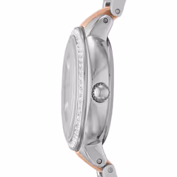 Fossil ES3405P montre Montre bracelet Femelle Quartz Argent