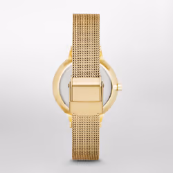 Skagen SKW2150P Montre bracelet Femelle Or