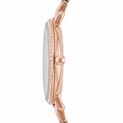 Fossil ES3546P montre Montre bracelet Femelle Quartz Or