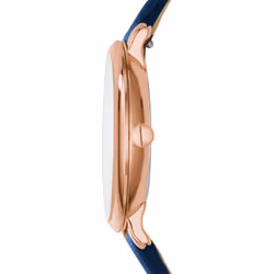 Fossil ES3843P montre Montre bracelet Femelle Quartz Or
