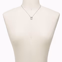 Skagen SKJ0833040 collier Femelle Acier inoxydable