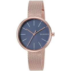 Montre Skagen SKW2593