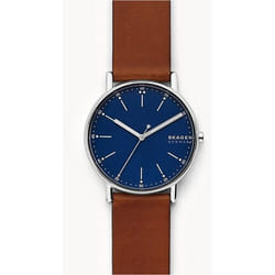 Skagen SKW6355 montre Montre bracelet Mâle Quartz Argent