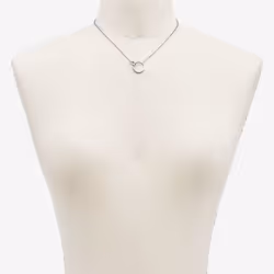 Skagen SKJ1053040 collier Femelle Acier inoxydable
