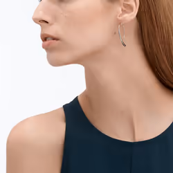 Skagen SKJ1057040 boucle d'oreille Acier inoxydable Argent