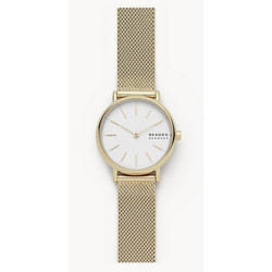 Skagen SKW2693 montre Montre bracelet Femelle Quartz Or