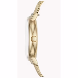 Skagen SKW2693 montre Montre bracelet Femelle Quartz Or