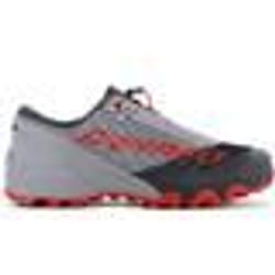 Chaussures de Running Dynafit Feline Sl - Homme - Gris - Modèle 640530739