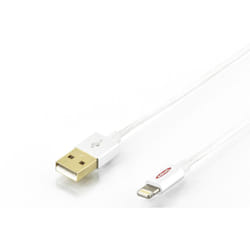 Ednet 31061 câble Lightning 1 m Argent