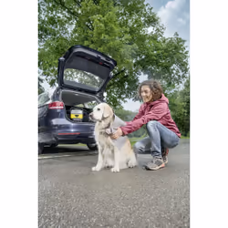 Kärcher OC 3 Pet Nettoyeur haute pression Compact Batterie 120 l/h Noir, Jaune - Vue supplémentaire 4