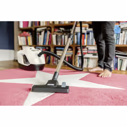 Kärcher DS 6 Plus 2 L Aspirateur réservoir cylindrique Sec 650 W Sans sac