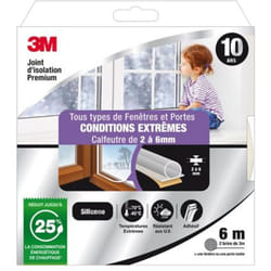 Joint Porte/Fenêtre Très Mauvais Etat Premium 2 À 6mm X 6m Transparent