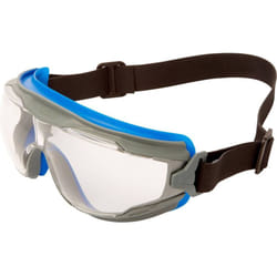 3M - Goggle Gear 500 GG501NSGAF-BLU Lunettes intégrales avec protection anti-buée bleu, gris en 166 din 166