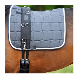 Sangle de longe pour cheval avec rembourrage Kavalkade
