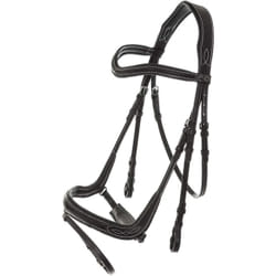 Bridons pour cheval Kavalkade Ivy