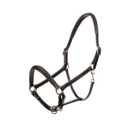 Licol pour cheval en cuir Kavalkade Charming