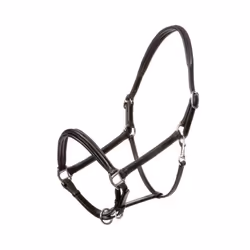 Licol pour cheval en cuir Kavalkade Charming
