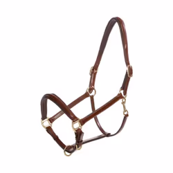 Licol pour cheval en cuir Kavalkade Charming