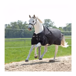 Couverture d'extérieur pour cheval Kavalkade Alaska IV 300 g