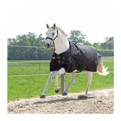 Couverture d'extérieur pour cheval Kavalkade Alaska IV 300 g