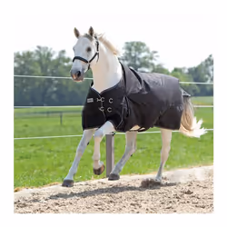 Couverture d'extérieur pour cheval Kavalkade Alaska IV 100 g