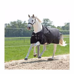 Couverture d'extérieur pour cheval Kavalkade Alaska IV