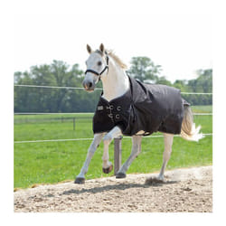 Couverture d'extérieur pour cheval Kavalkade Alaska IV