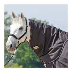 Couvre-cou pour cheval Kavalkade Halsteil Alaska IV