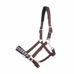 Licol pour cheval Kavalkade Perlon Classic