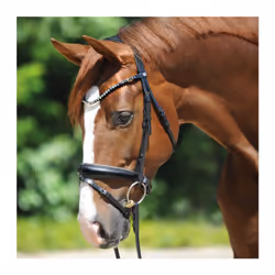 Bridons équitation Kavalkade Grey