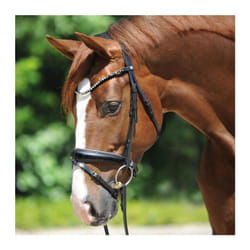 Bridons équitation Kavalkade Grey